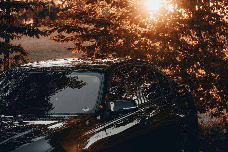 Couple enjoying a freshly detailed car